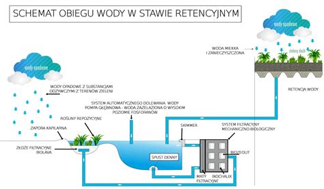  Zeolite - Niezwykłe minerały o nieskończonych zastosowaniach w katalizie i filtracji!