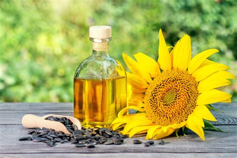  Helianthus Annuus Oil: Unlocking Sustainable Solutions in Biofuels and Lubricants?