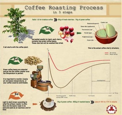 Roasting Coffee: Properties Uses and Production Characteristics!